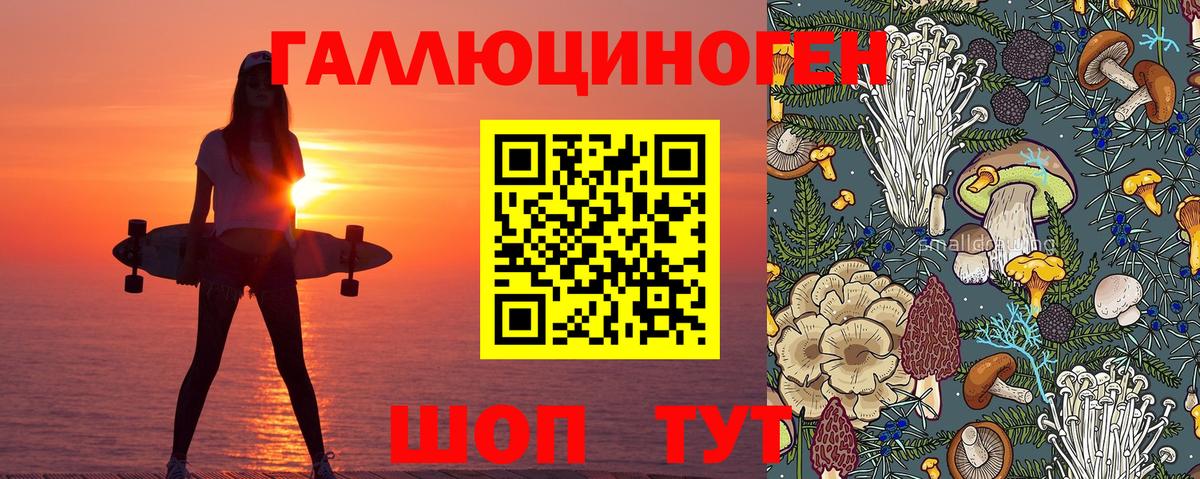Псилоцибиновые грибы мицелий Подольск