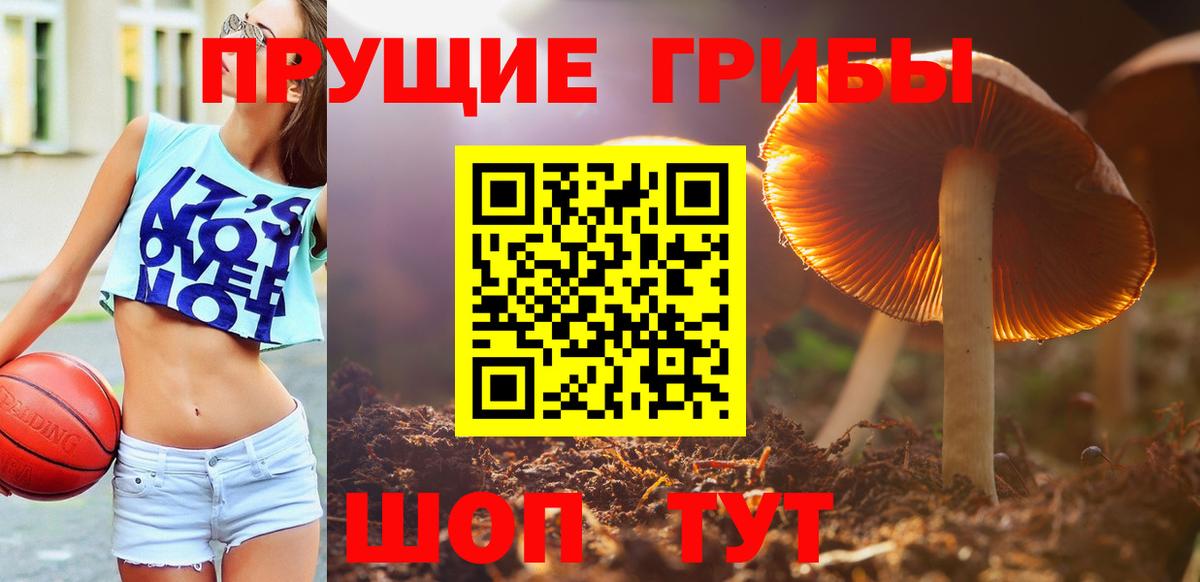 Галлюциногенные грибы GOLDEN TEACHER  Вход с VPN  купить закладку  Подольск 